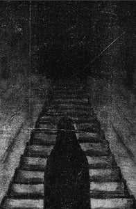 Capa de Descent