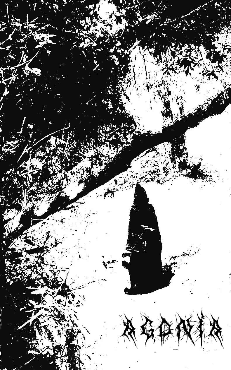 Capa de O desvanecer