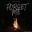 Capa do single Forget Me