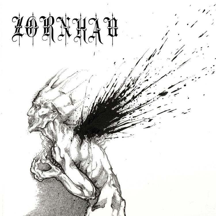 Capa do álbum Zornhau