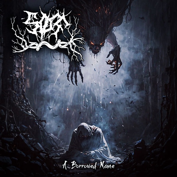 Screams Of Tranquility - A Borrowed Name