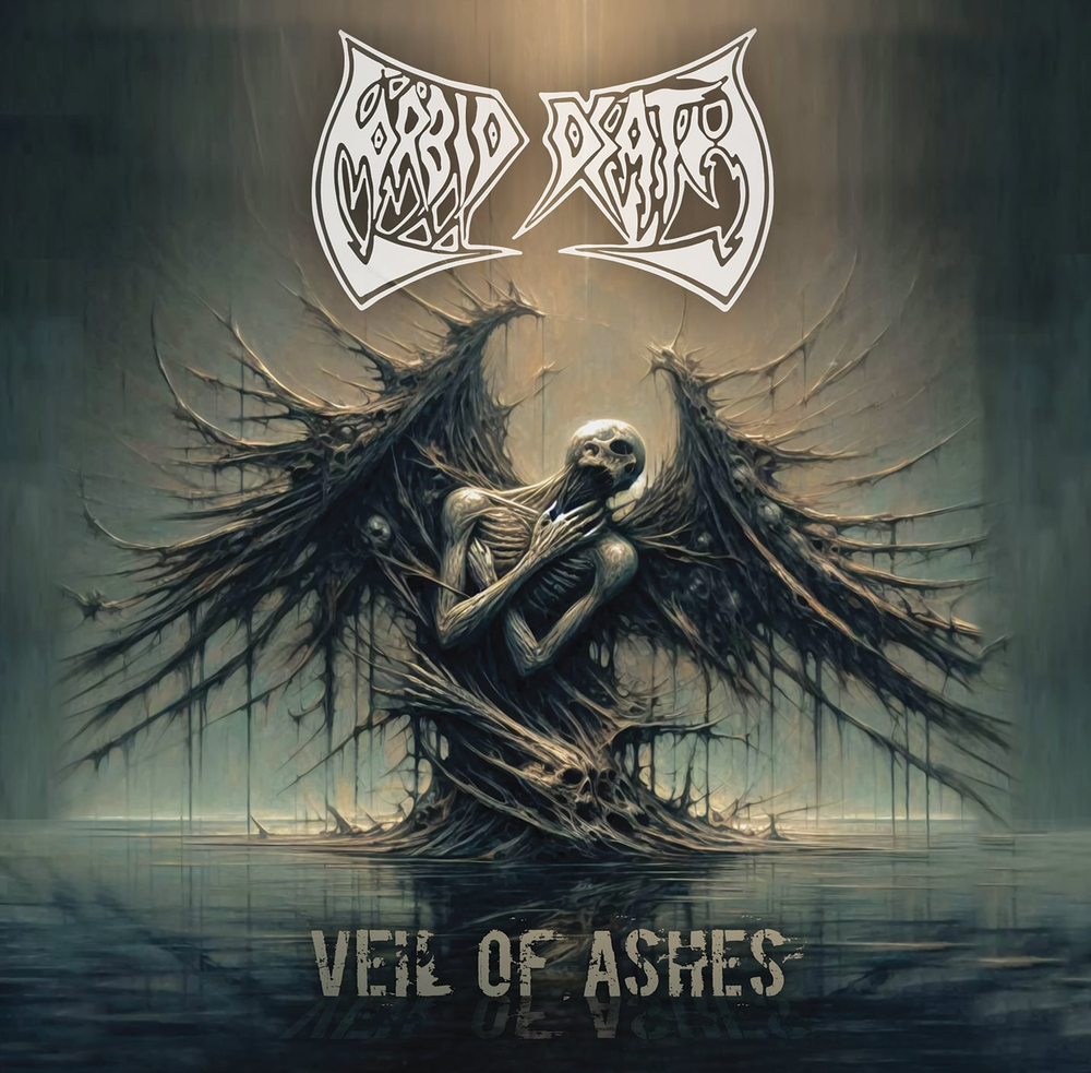 Capa do álbum Veil of Ashes