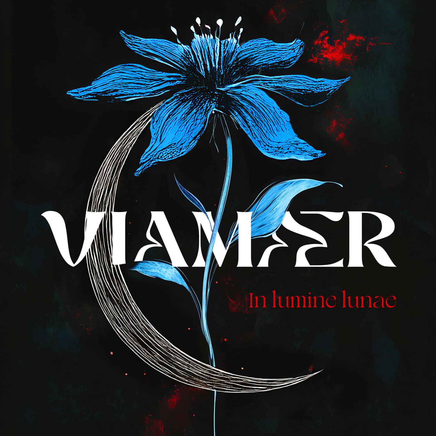 Viamaer - Krystian Jurkiewicz