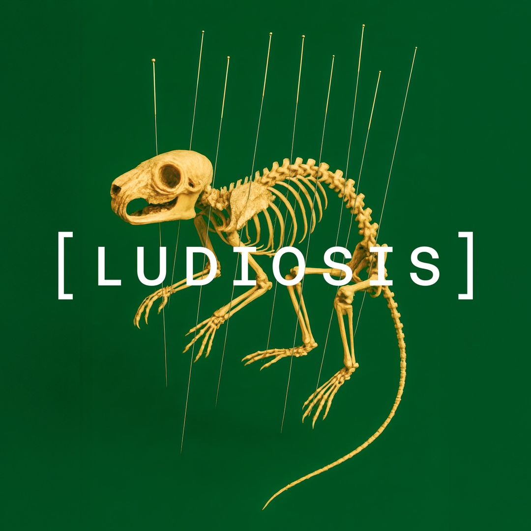 Ludiosis The Light In Darkness