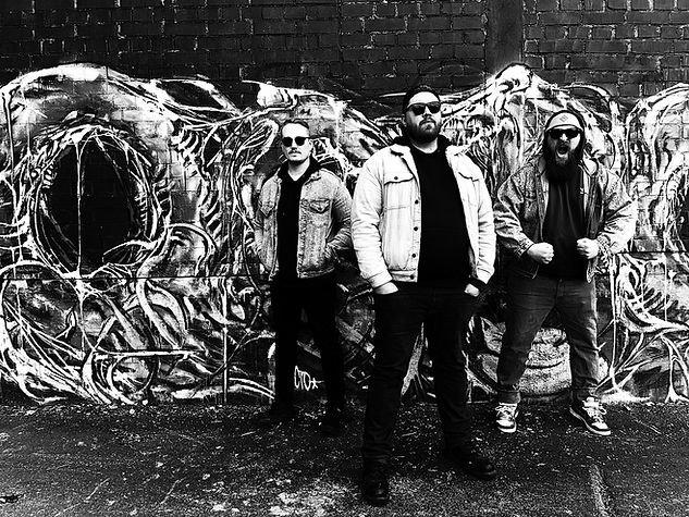 The Skanks Band