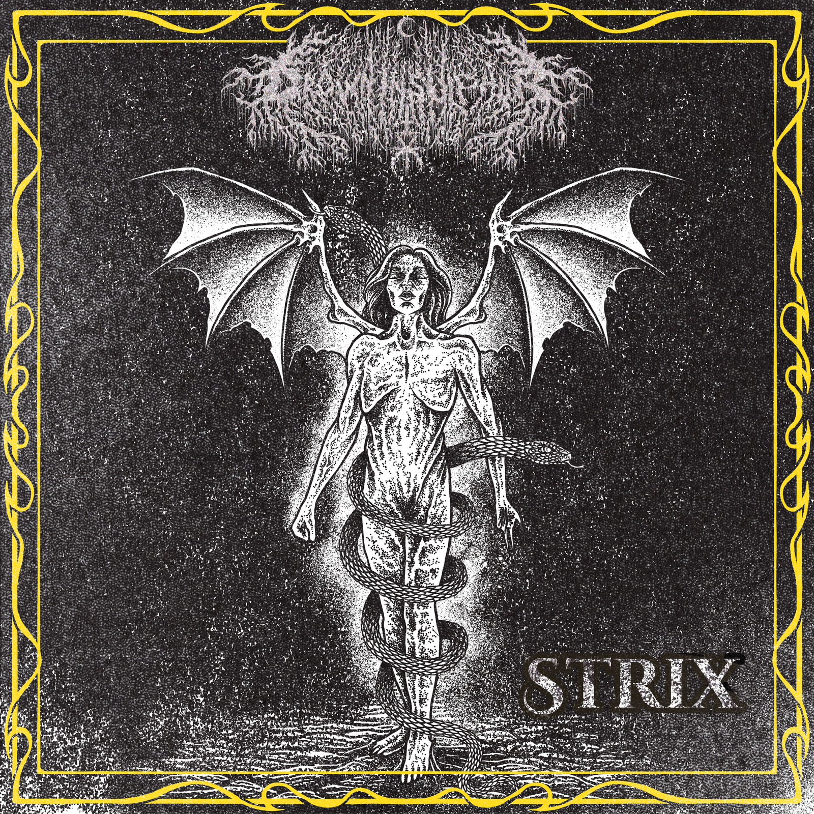 Capa Strix