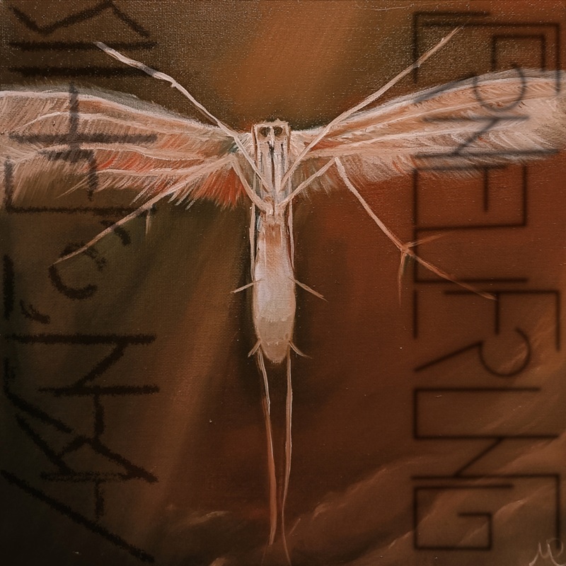 Capa do álbum Erneuerung