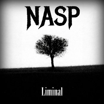 Capa do single Liminal de NASP